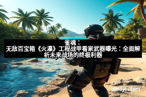 雀魂：无敌百宝箱《火瀑》工程战甲看家武器曝光：全面解析未来战场的终极利器